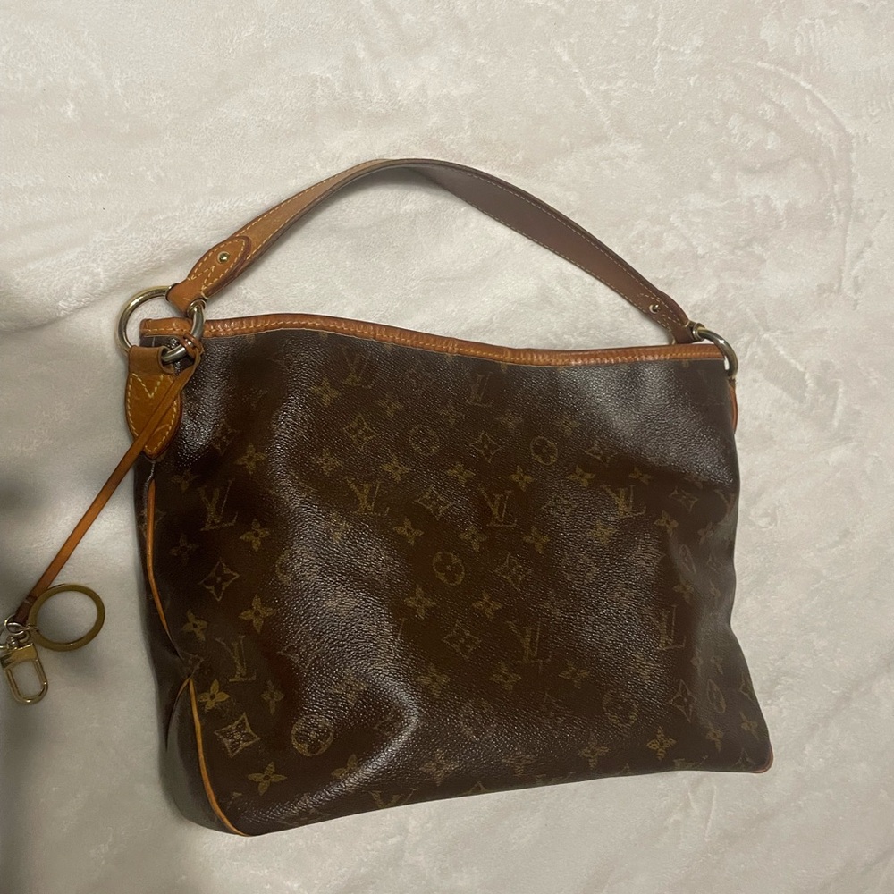LOUIS VUITTON
Monogram Canvas Delightful PM NM Bag